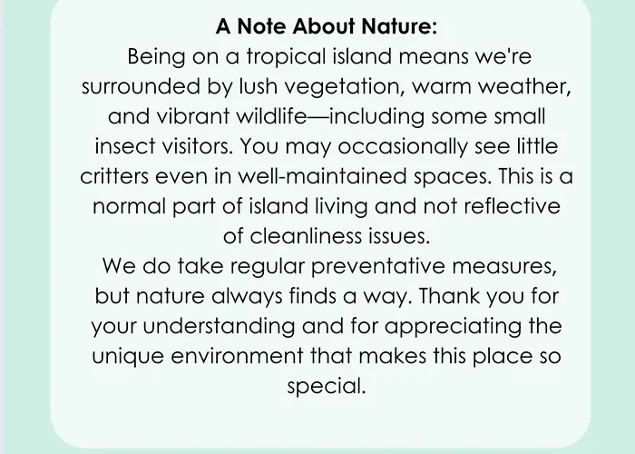 Picturesque Porto Da Cruz